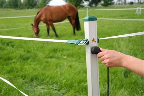 temporary electric fencing for horses